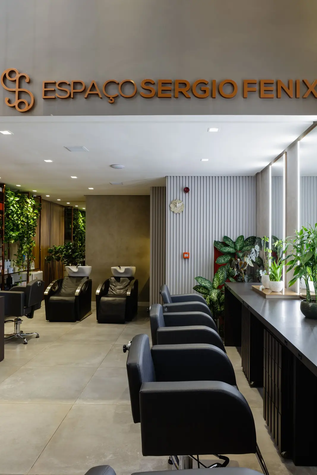 Projeto comercial Espaço Sergio Fenix